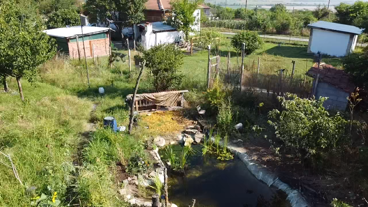 Drone view of the cottage pond