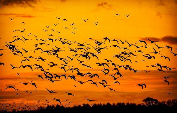 Landscape photography