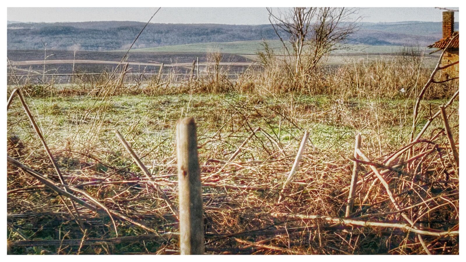 Spring project new hide at the cottage