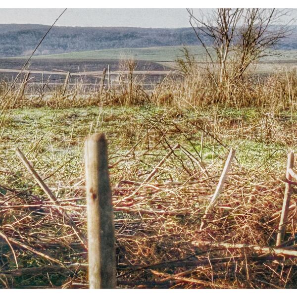 Spring project new hide at the cottage