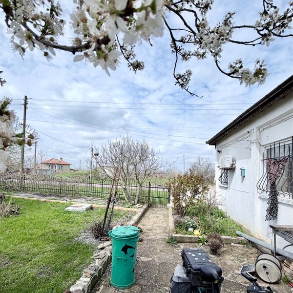 Blossom at Poachers cottage