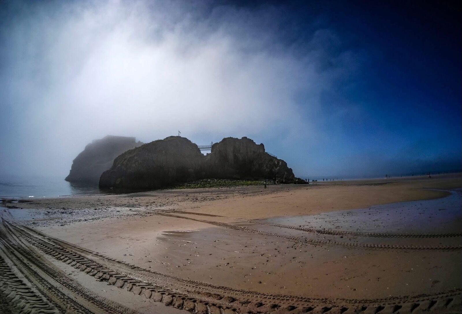 Early morning mist