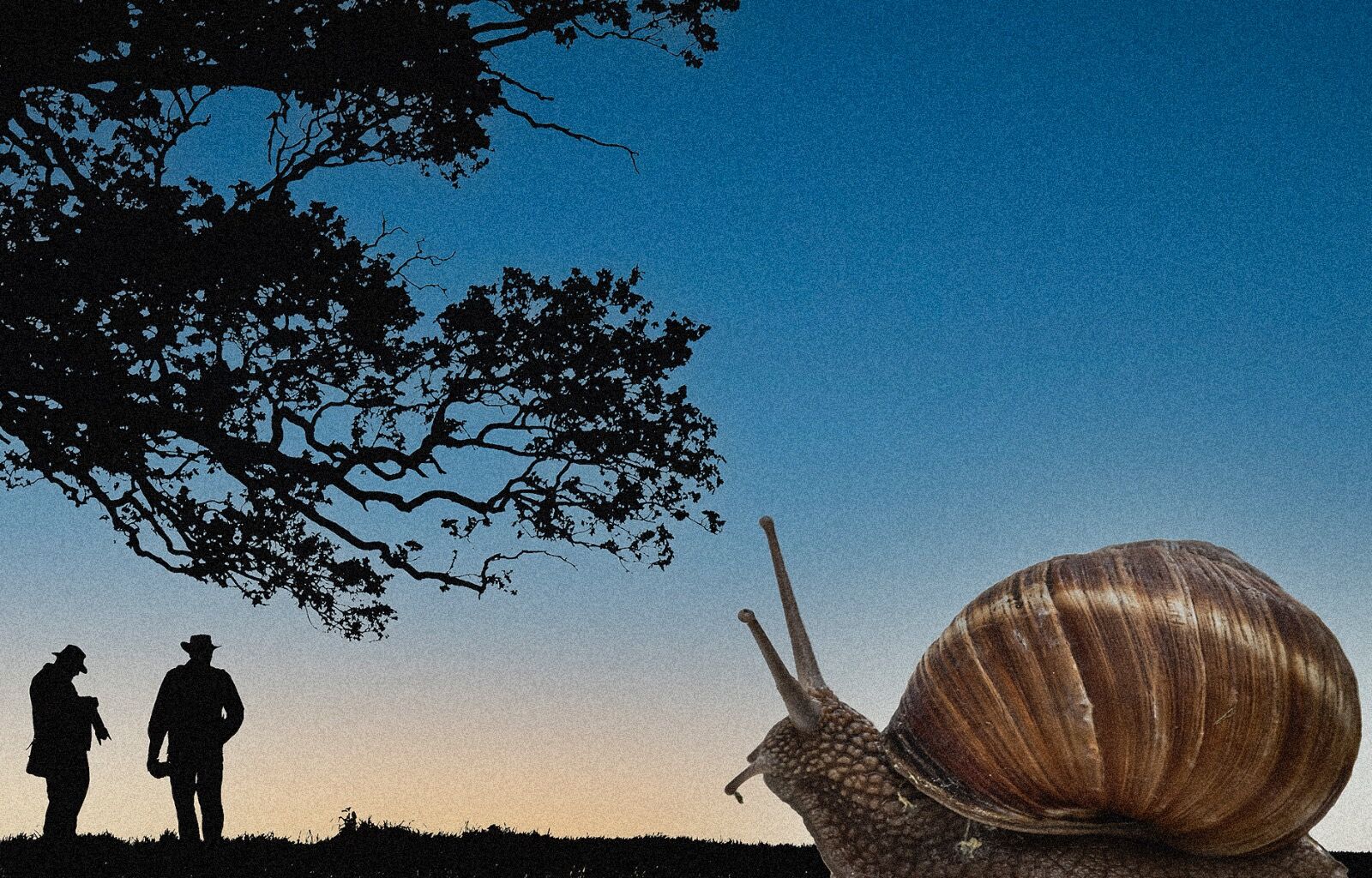 What we photographing tonight