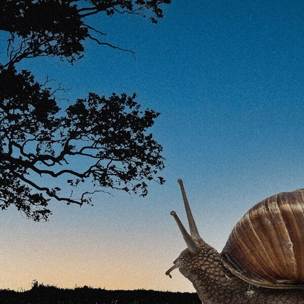 What we photographing tonight