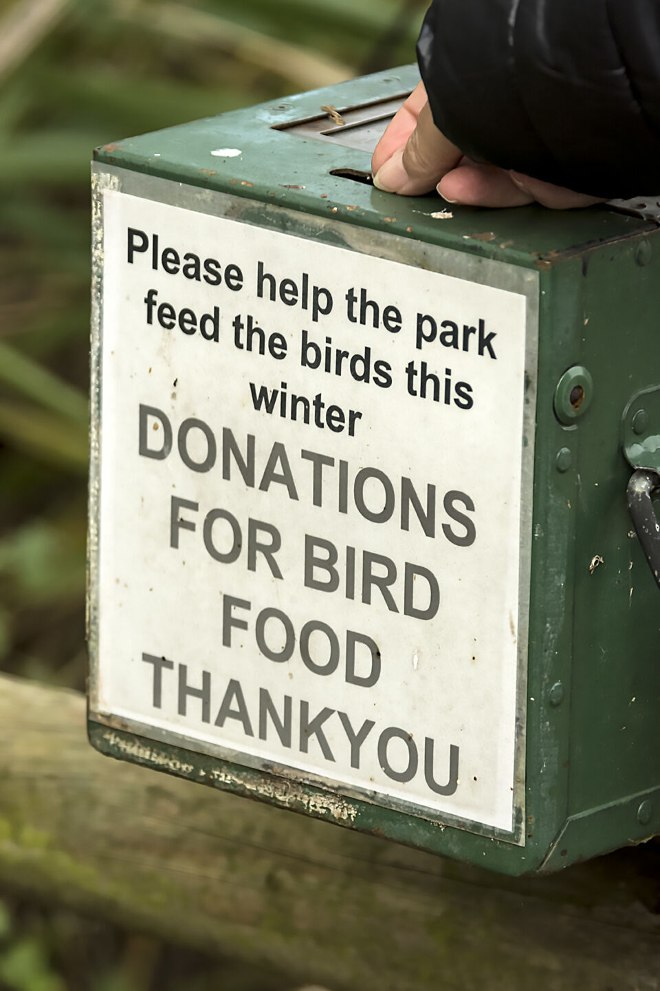 Birds need helping hand