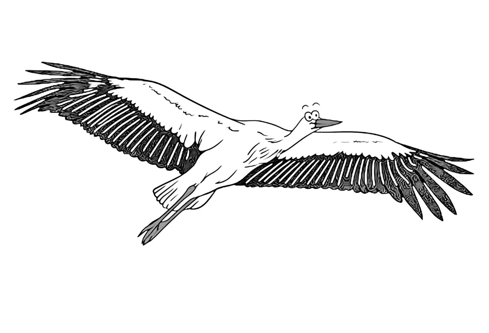 All images covered by © copyright message