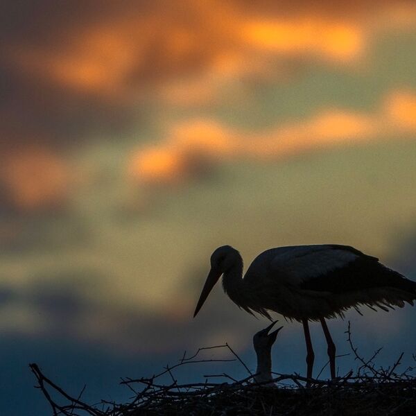 Mother and baby 280525 7950