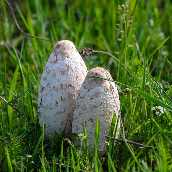 Nature weather 030425 6062