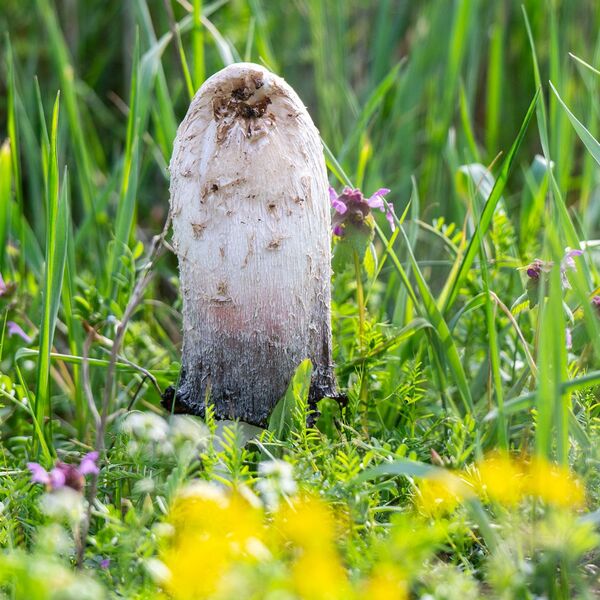 Nature weather 030425 6090