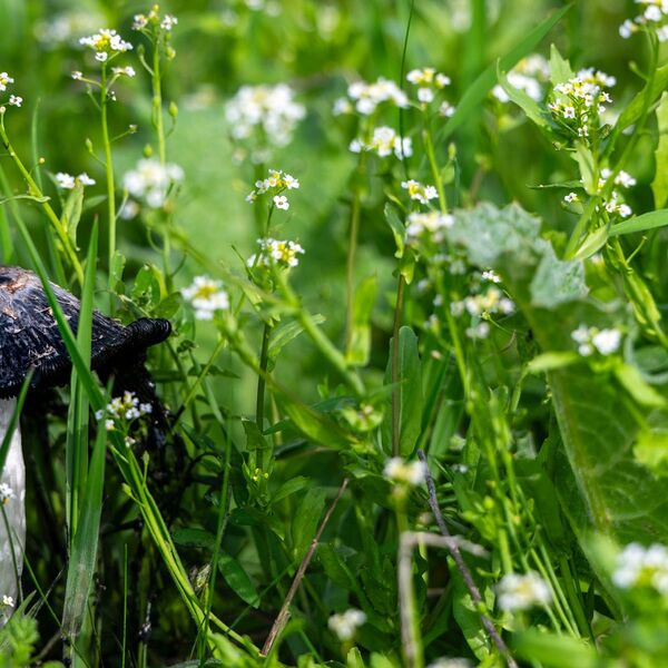 Nature weather 030425 6084