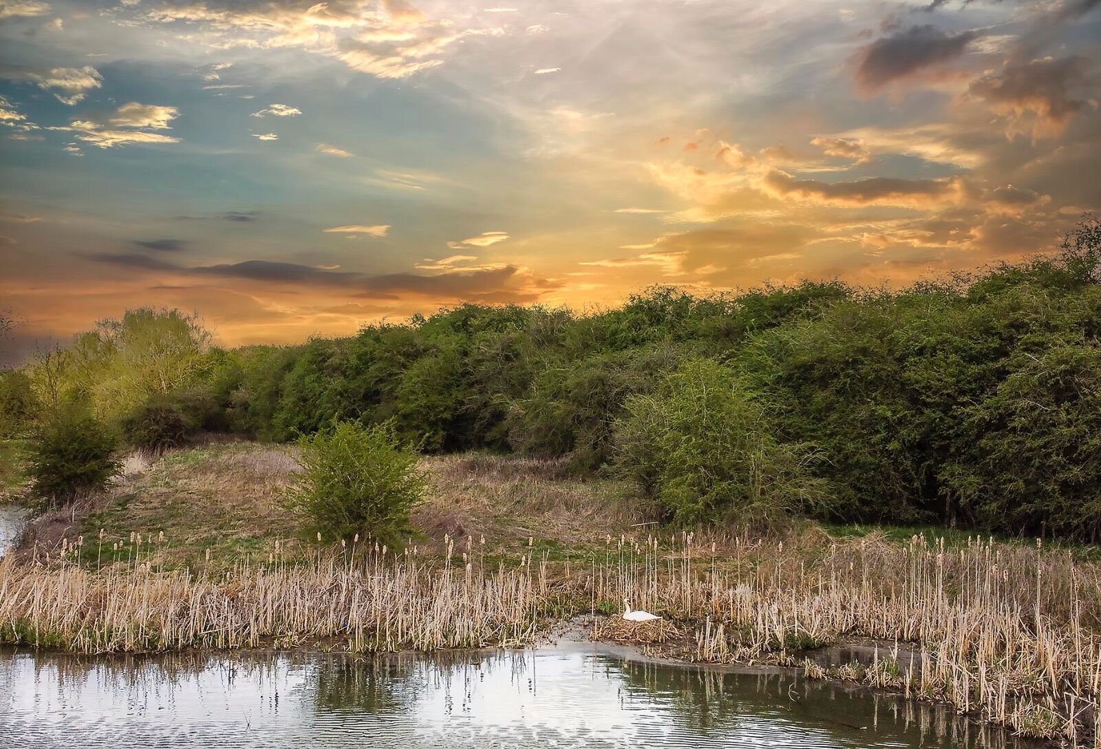 Wetlands Sky