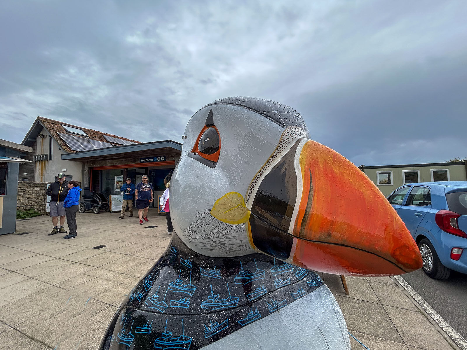 Giant modal Puffin empton cliffs 150725 9020 copy