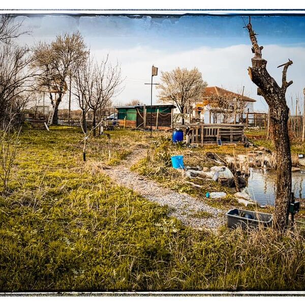 Wild pond project