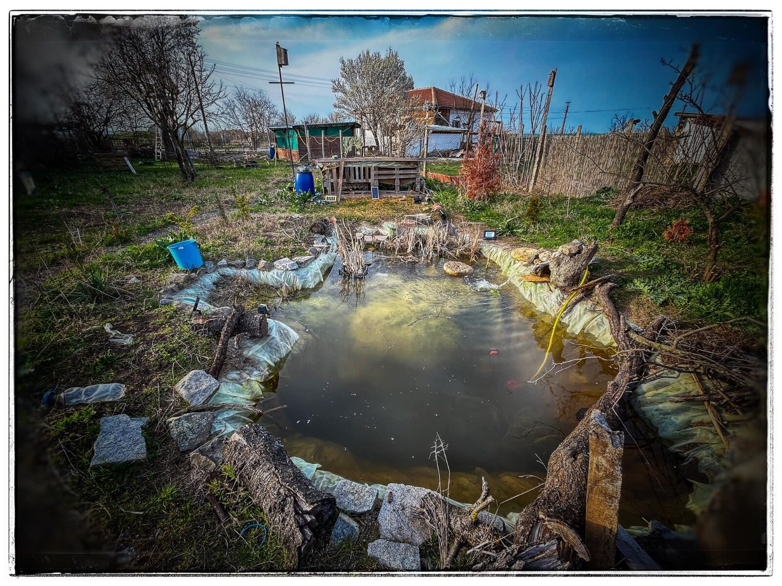 Wild pond project