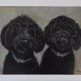 Kentucky and Tennesse