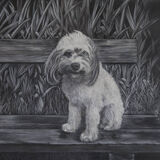 Maddie-Graphite