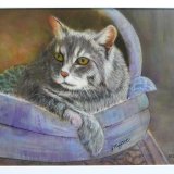 11 years old & enjoying a rest