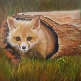 Fox Cub