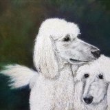 Side by Side Forever