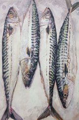 4 mackerel