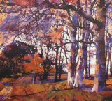 Two people under a tree