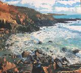 Watcher at Boat Cove