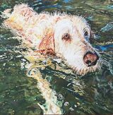 Swimming at Flushing