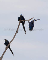 Eduardo always likes seeing things differantly!