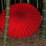 Kyoto umbrella