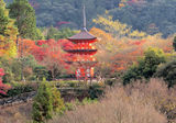 Autumn in Japan