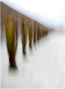 Groynes