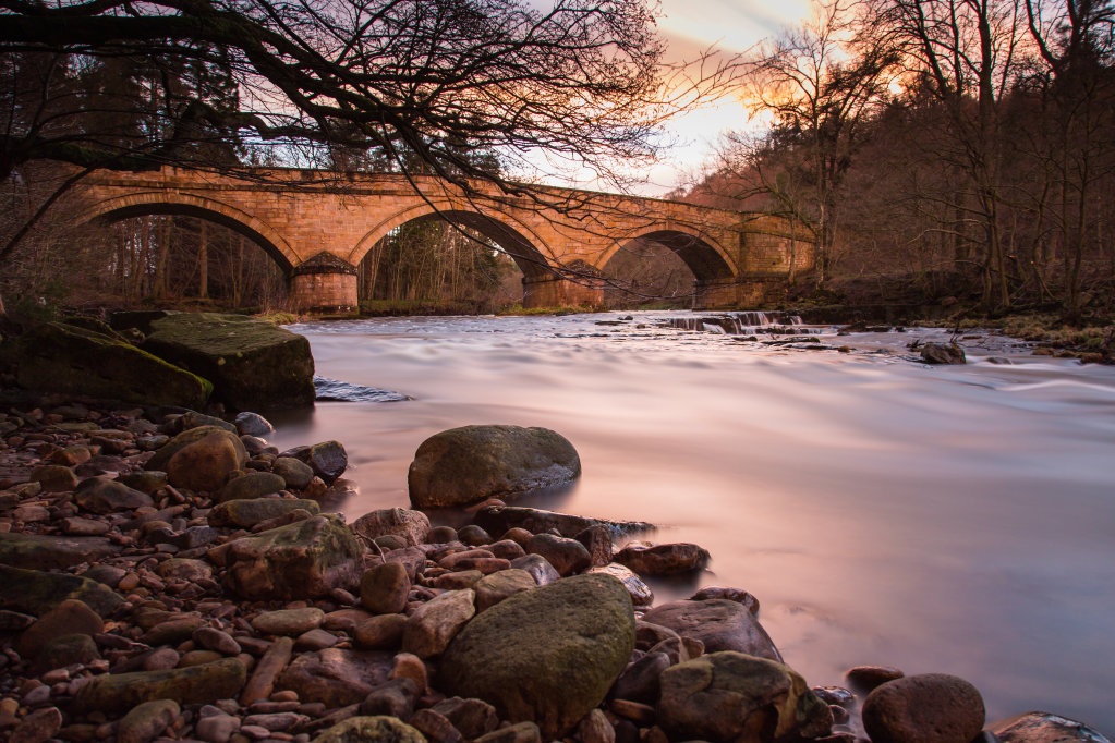 The River Allen