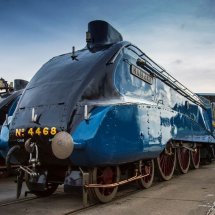 Mallard 75