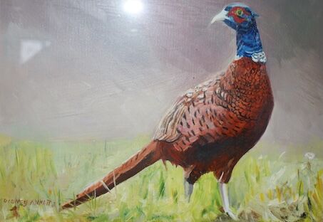 RODNEY ANNETTS – Male Pheasant