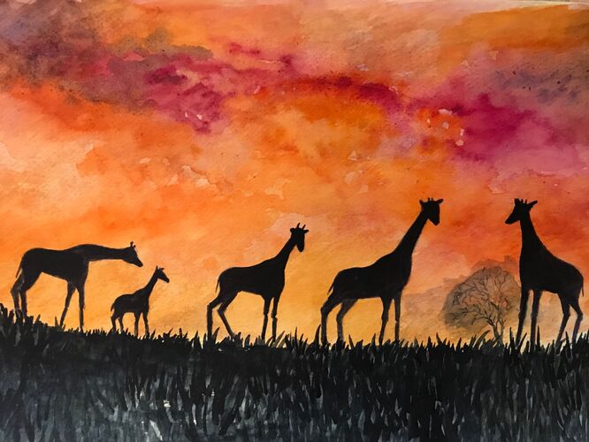 African Sunset - Elaine Balmer