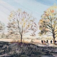 HANNAH BRUCE –&nbsp;Horsell Common Belties