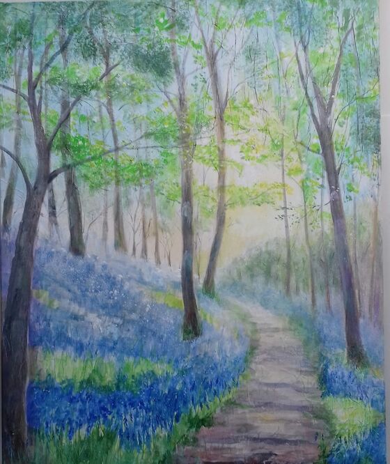 Bluebell Walk – Ros O'Connor
