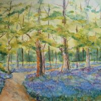 Bluebell Woods - Brian Blair