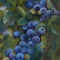 Blueberries - Julia Aspin