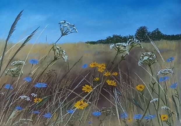 ANITA BOND –&nbsp; The Wild Margins