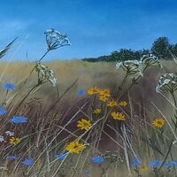 ANITA BOND –&nbsp; The Wild Margins