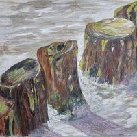 Breakwater - Sue Hinton