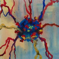 Coronavirus - Carla Scarano D'Antonio