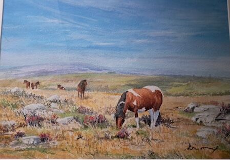 DAVID DRURY –&nbsp;Dartmoor Ponies