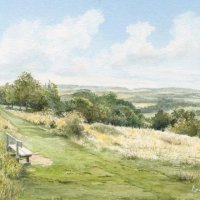 David Drury - Newlands Corner