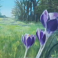 February Sunshine - Sue Hinton