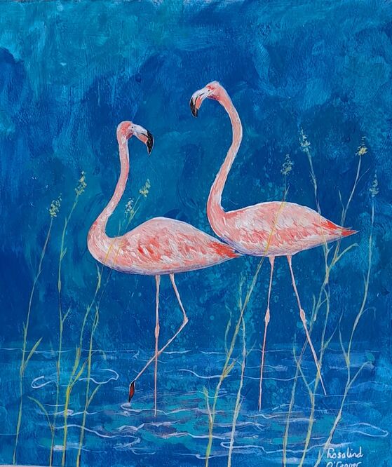 Flamingoes – Ros O'Connor