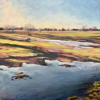 Flooding on the Common - Lauren Sapseid