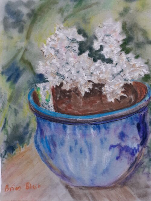 Flowering Cherry Tree – Brian Blair