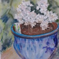 Flowering Cherry Tree – Brian Blair